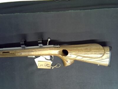 Gun Auctions with Manley and Colwell.Savage Arms 93R17 .17 HMR